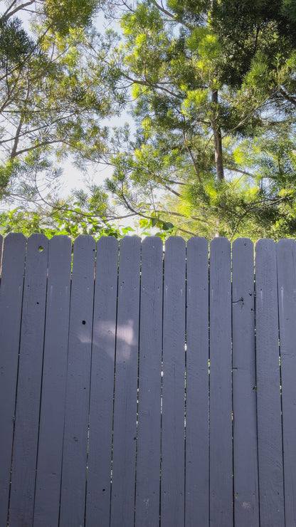 Lambskin Leather Jacket Medium